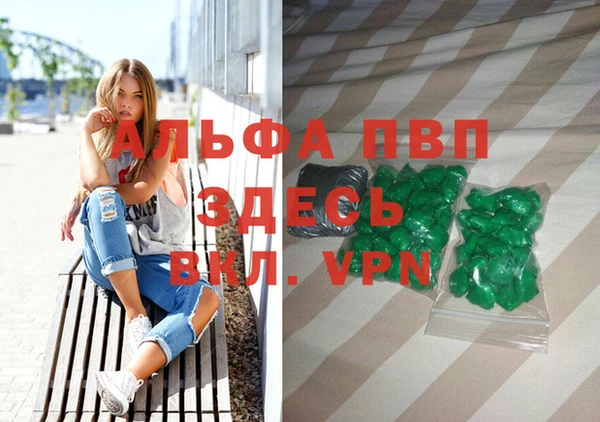 гашик Михайловск