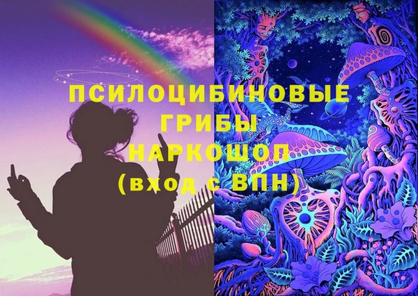 бошки Медногорск